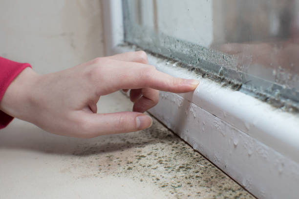 Biohazard Mold Removal in Garfield, NJ