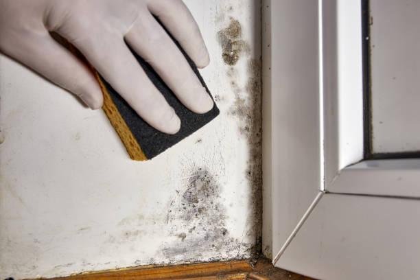 Asbestos and Lead Testing During Mold Inspection in Garfield, NJ