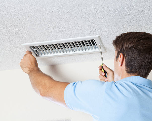 Best Attic Mold Removal  in Garfield, NJ