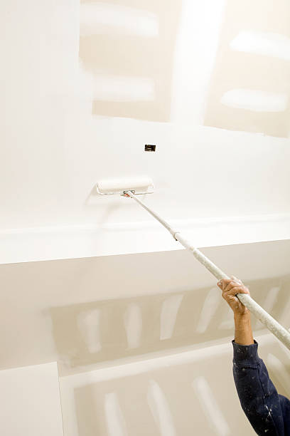 Garfield, NJ Mold Removal Company