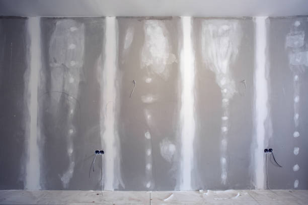 Best Basement Mold Removal  in Garfield, NJ